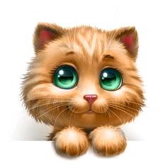 猫猫的秘境