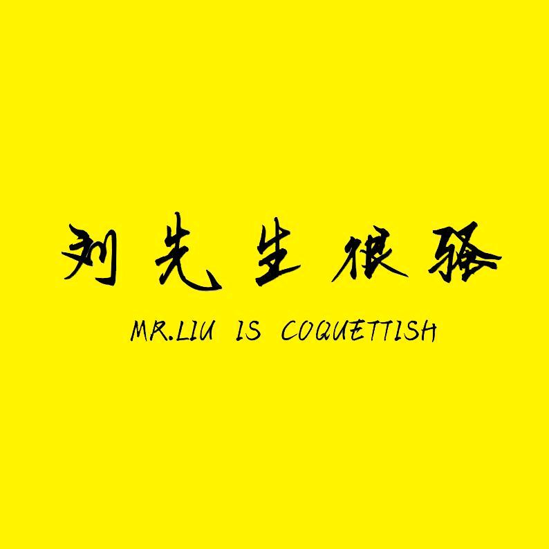 小刘同志