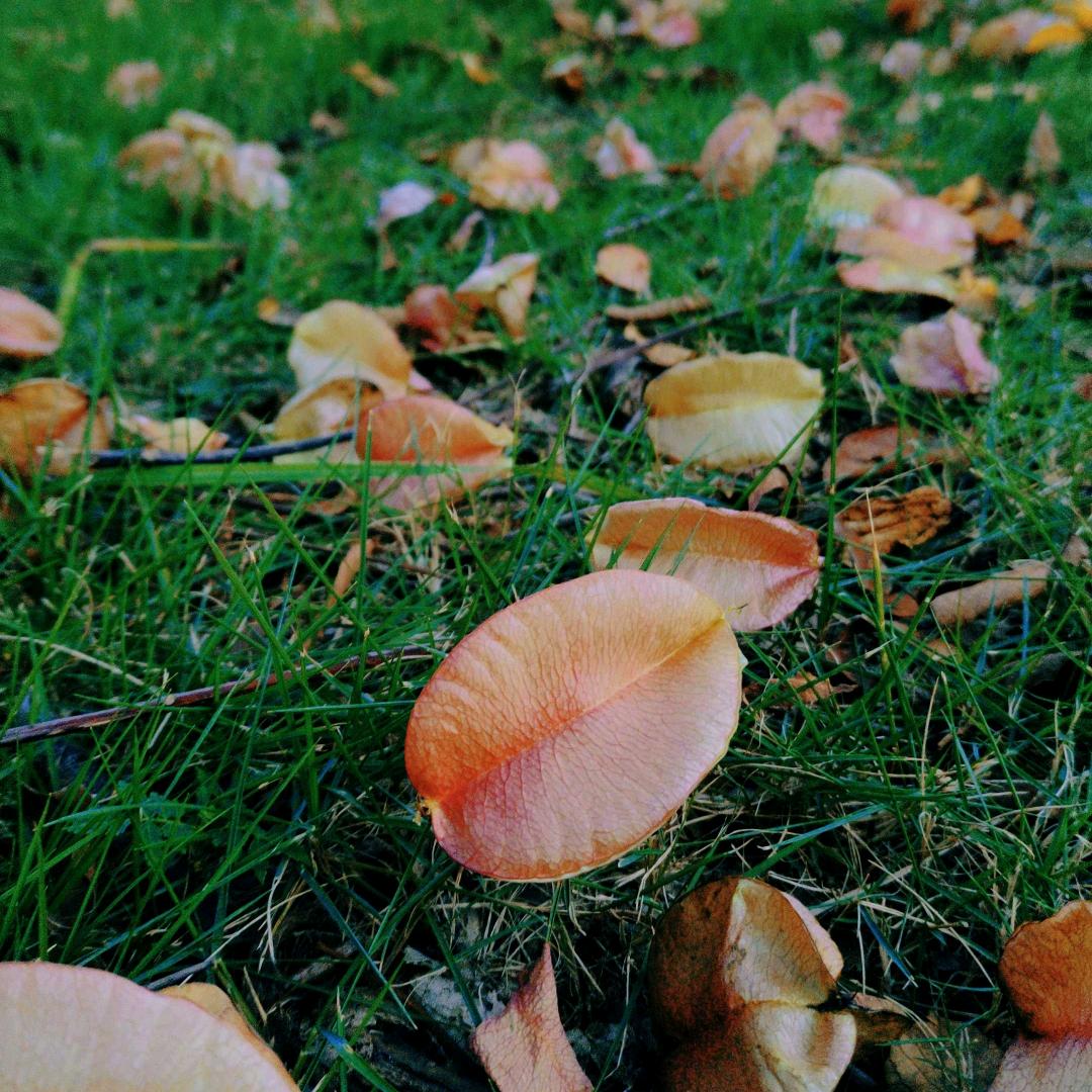 爱运动，爱骑行