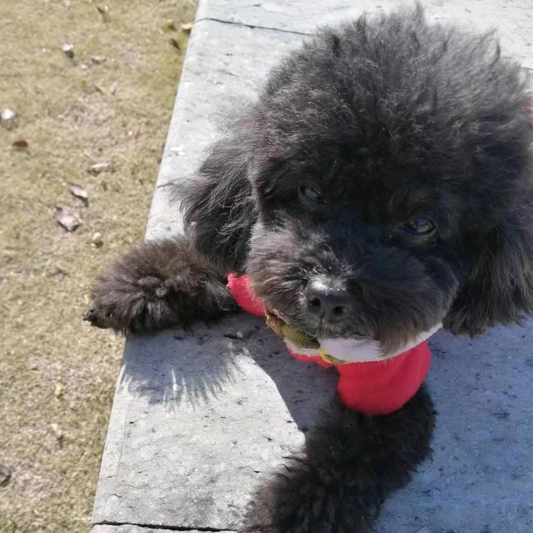 没什么