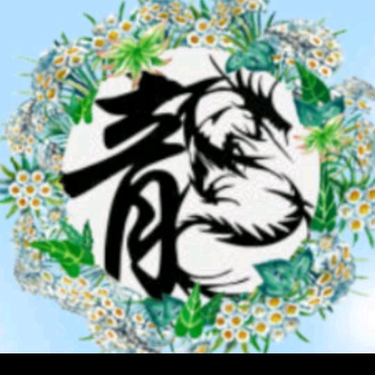 龙舞九天