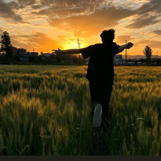 叙述（三角洲行动）