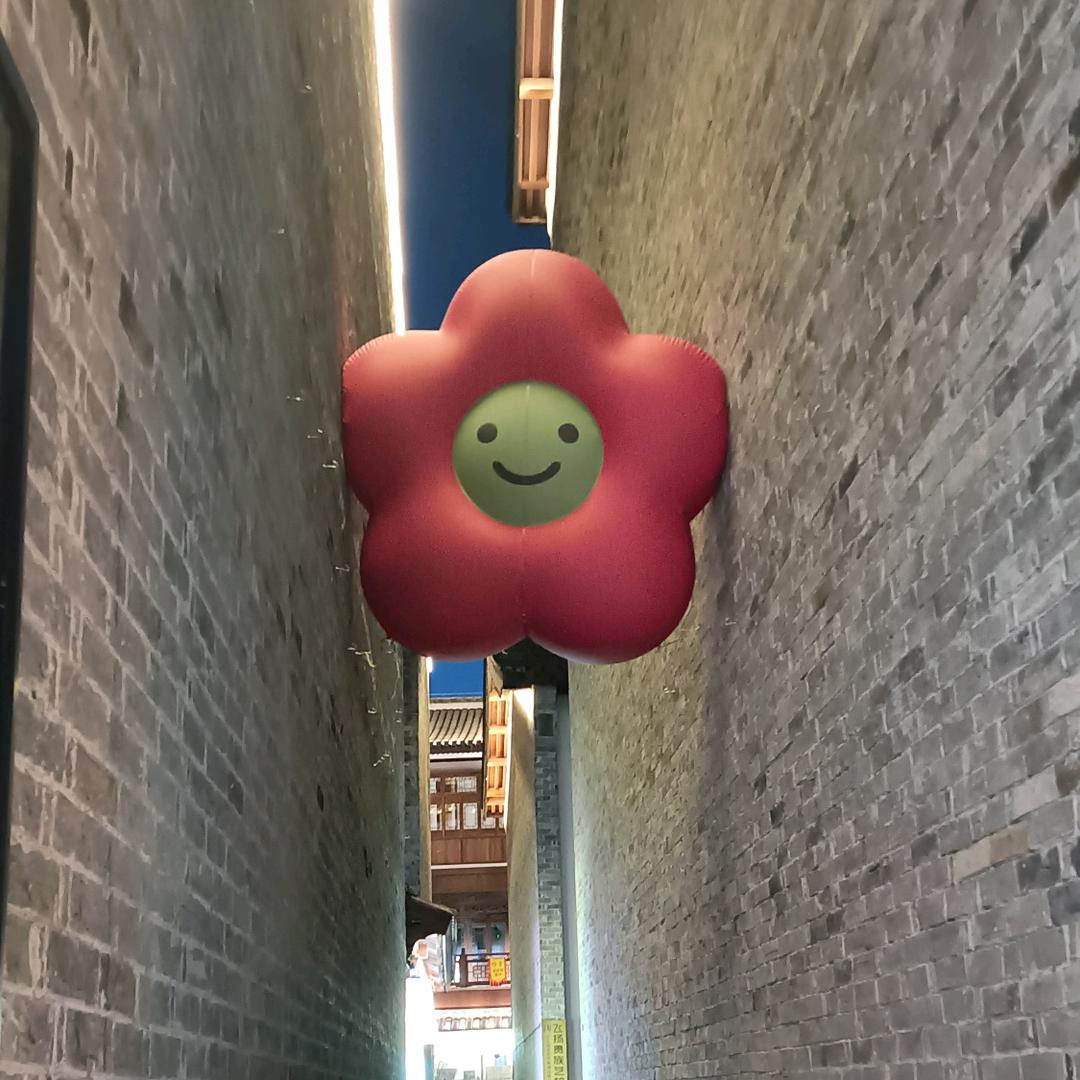 诺宝