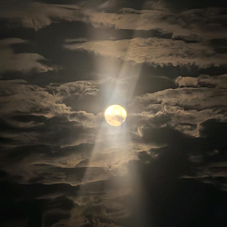 那一年，那些年