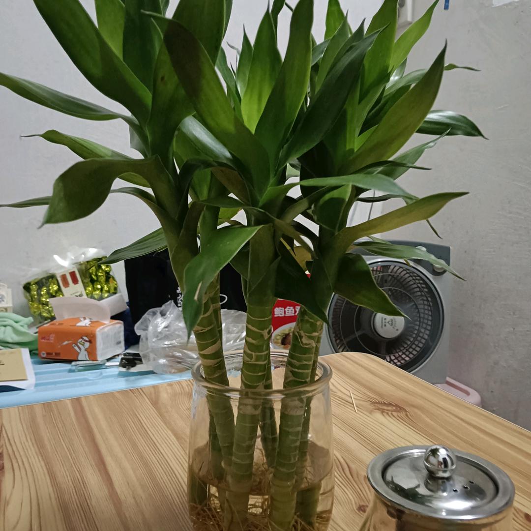 桃.