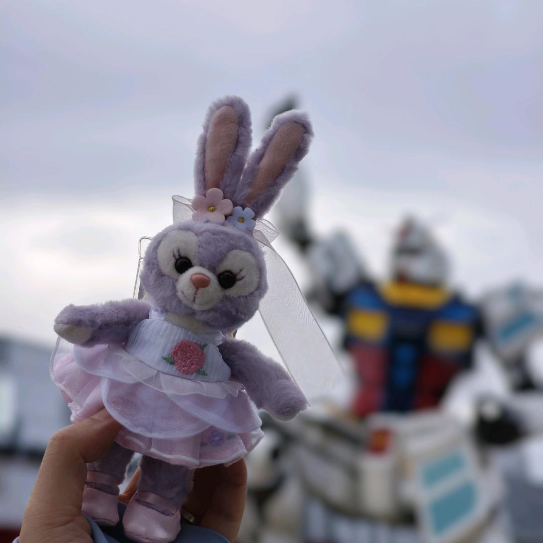 莞莞的可爱造物₍ᐢ..ᐢ₎