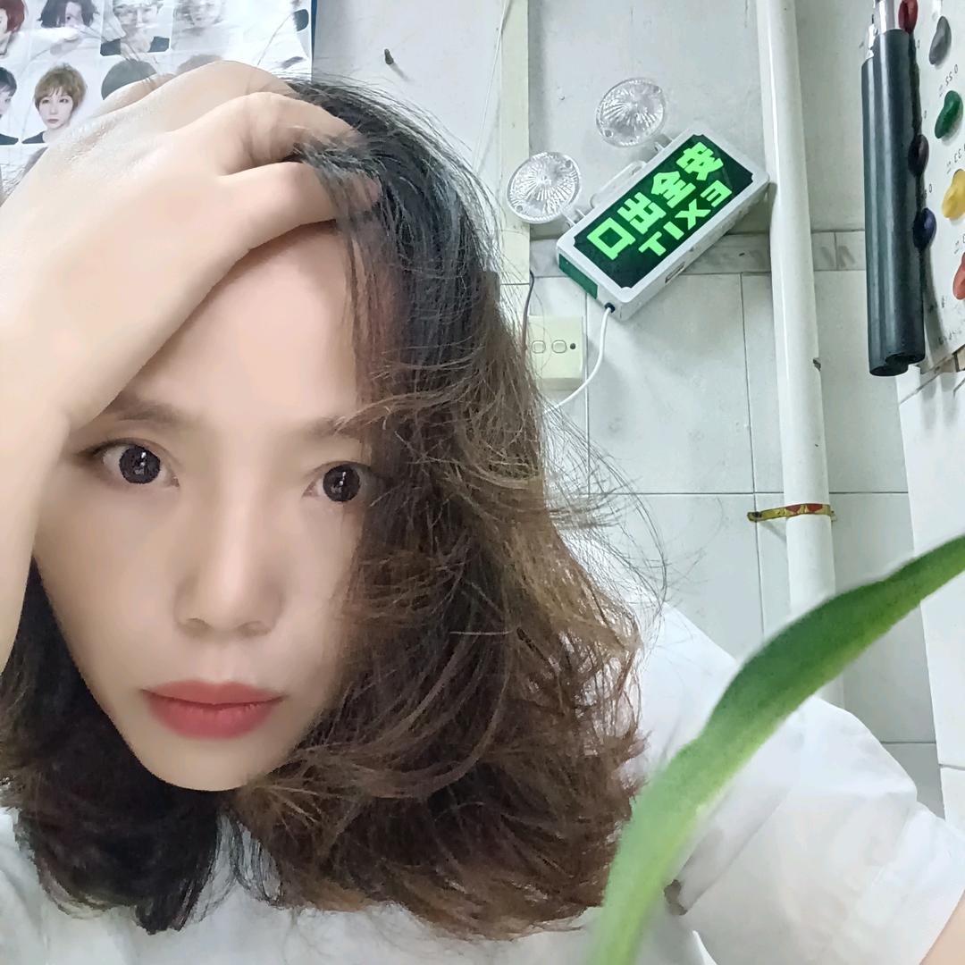 燕子飞