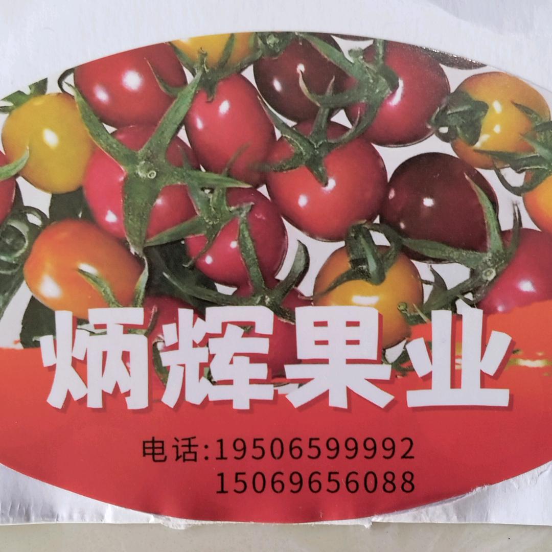 炳辉果业