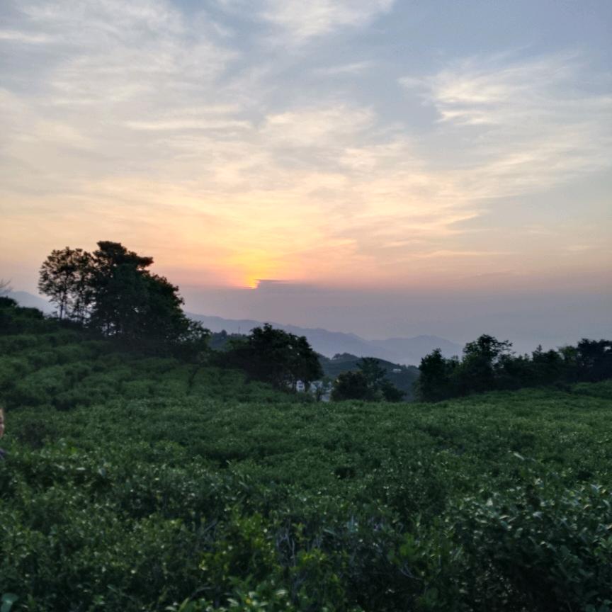 刘恣安