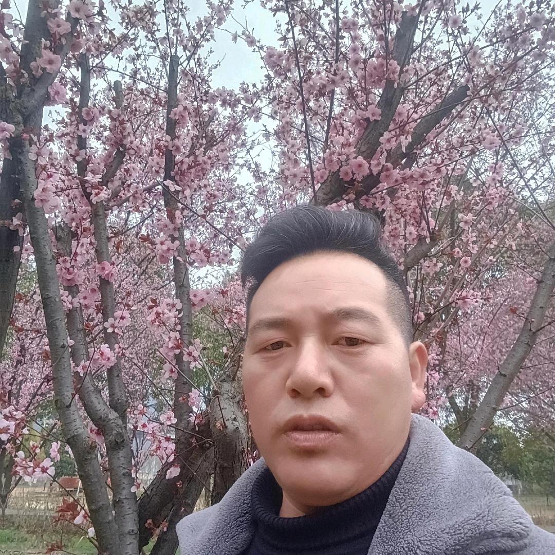 骑着毛驴走天下
