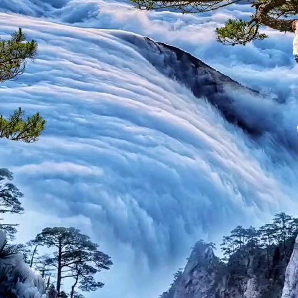 杨放放优品小铺