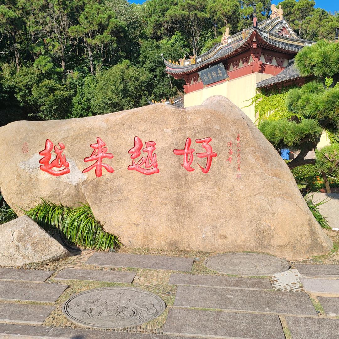 🌻🌻🌻幸运草🌻🌻🌻