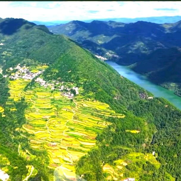 贵州杨杨得利