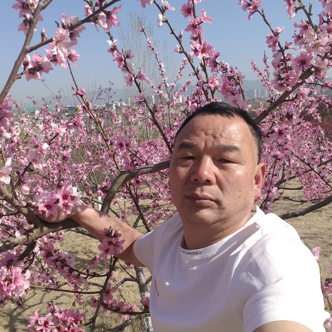龙哥在努力