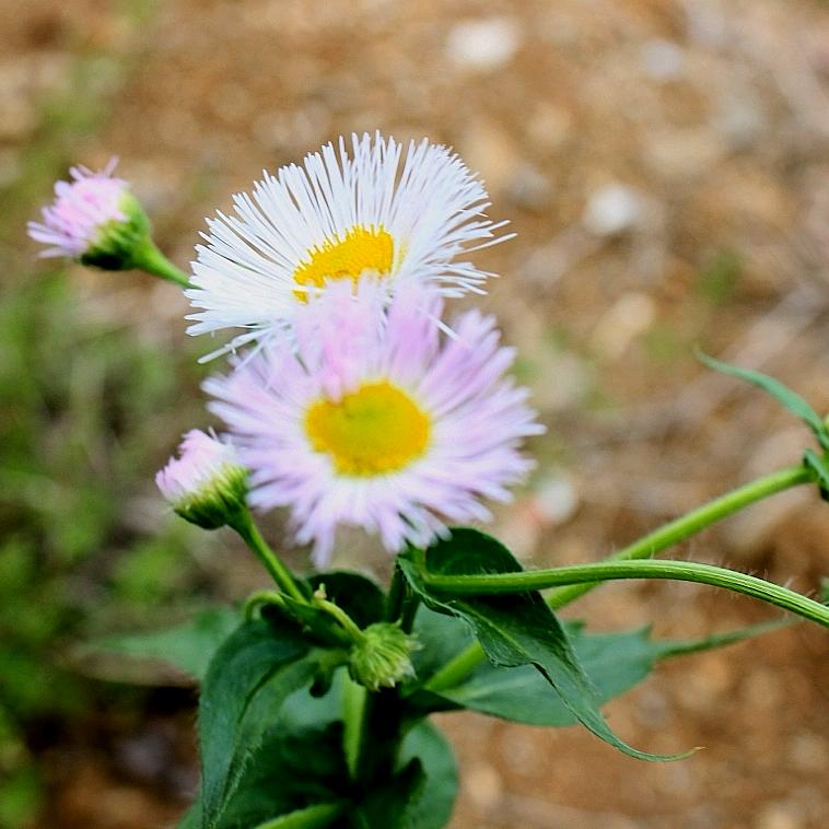连州市纳涵百货店(个体工商户)