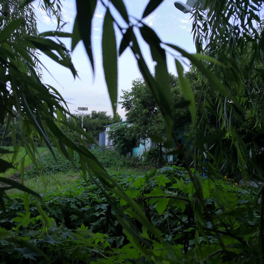 冯斌