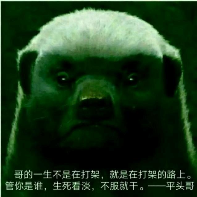 平头哥888