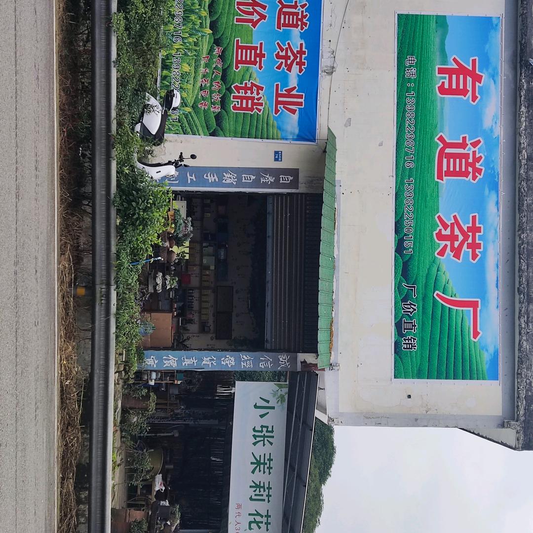 有道茶