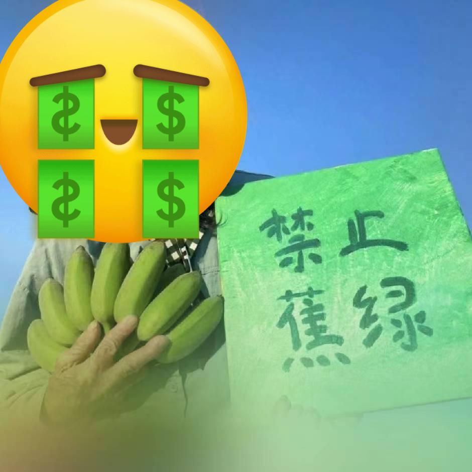 总有刁民想害朕