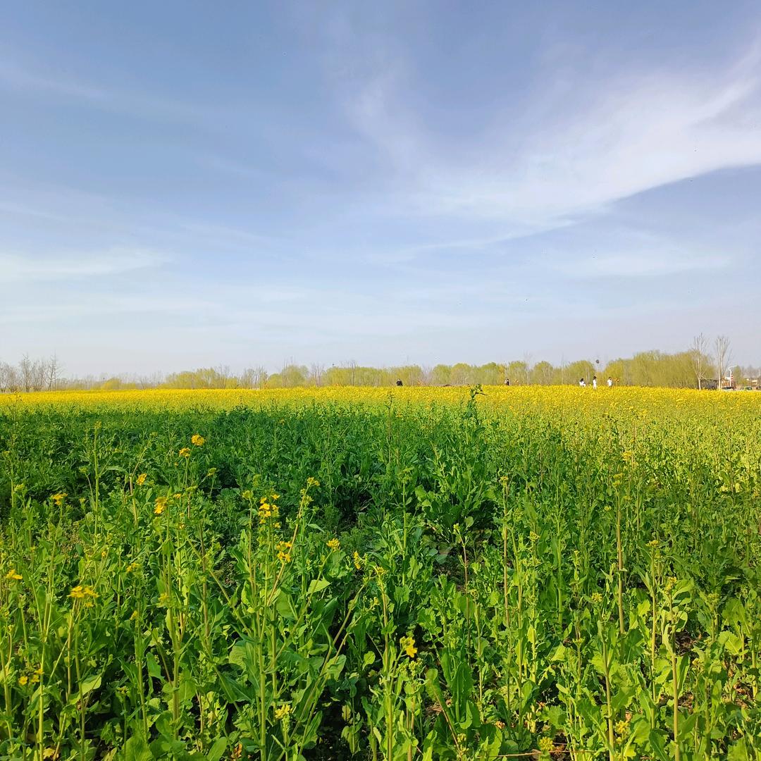海纳国际006优选