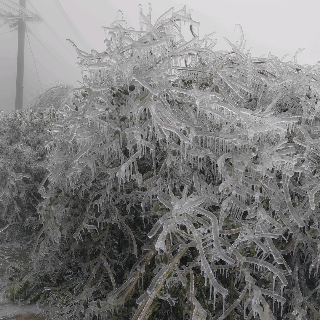 人生失意无南北