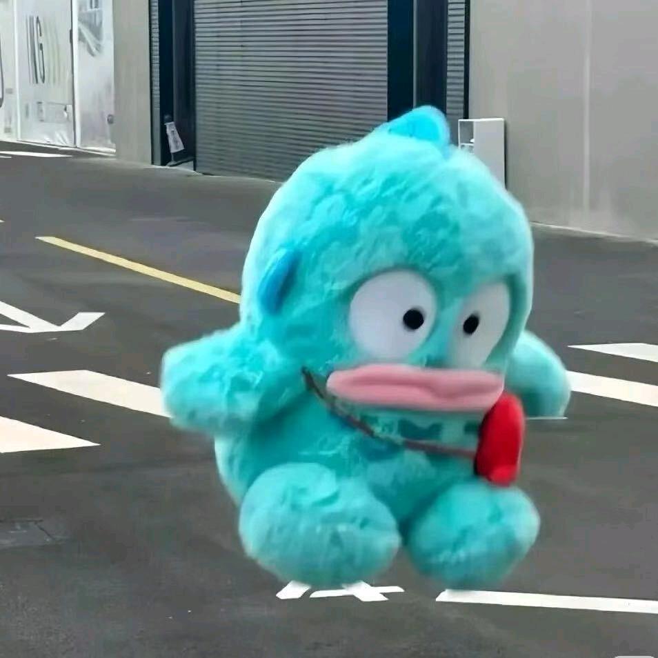 wy...