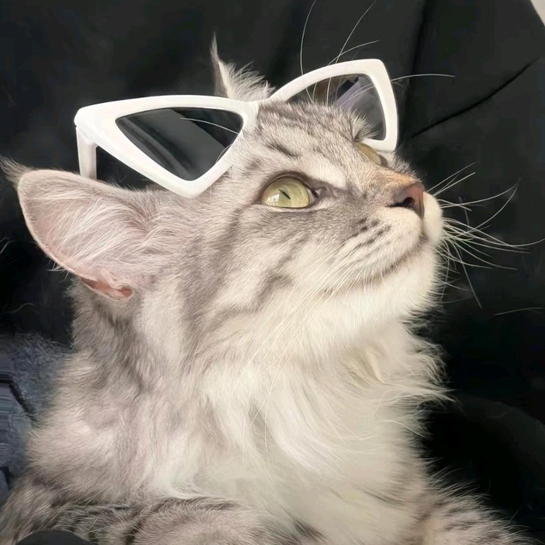 -童羽霖海..Narcolepsy.