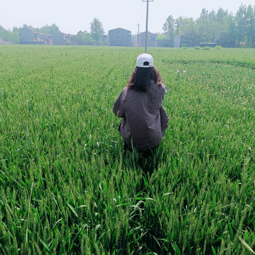 小文呀