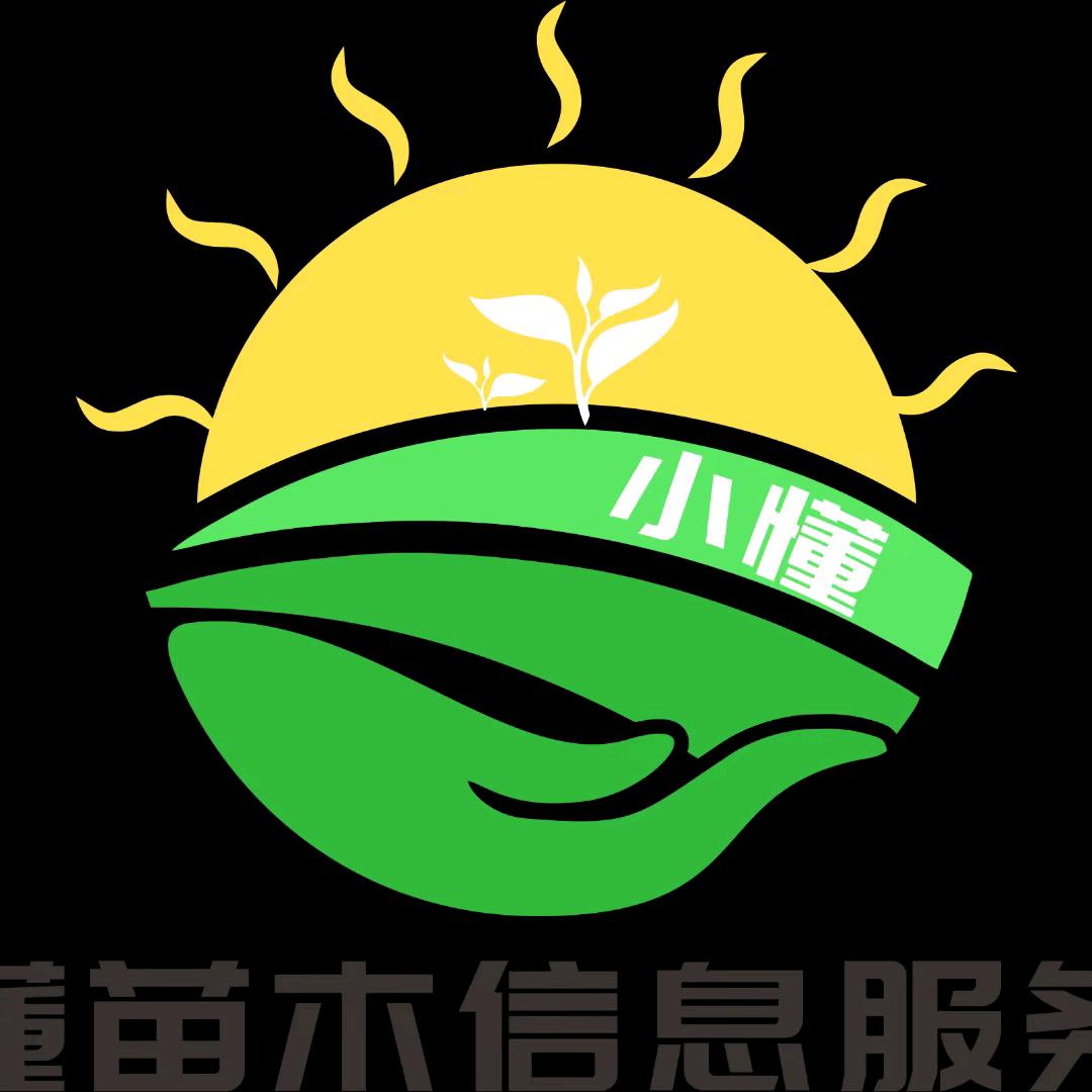 苗木人小懂✨