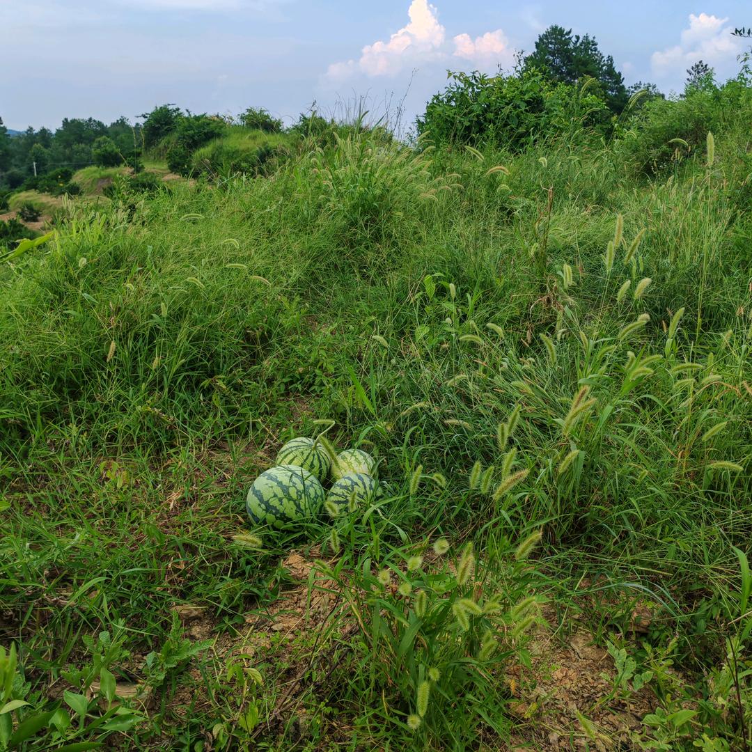 Οo與子偕耂оΟ缘份惹的祸