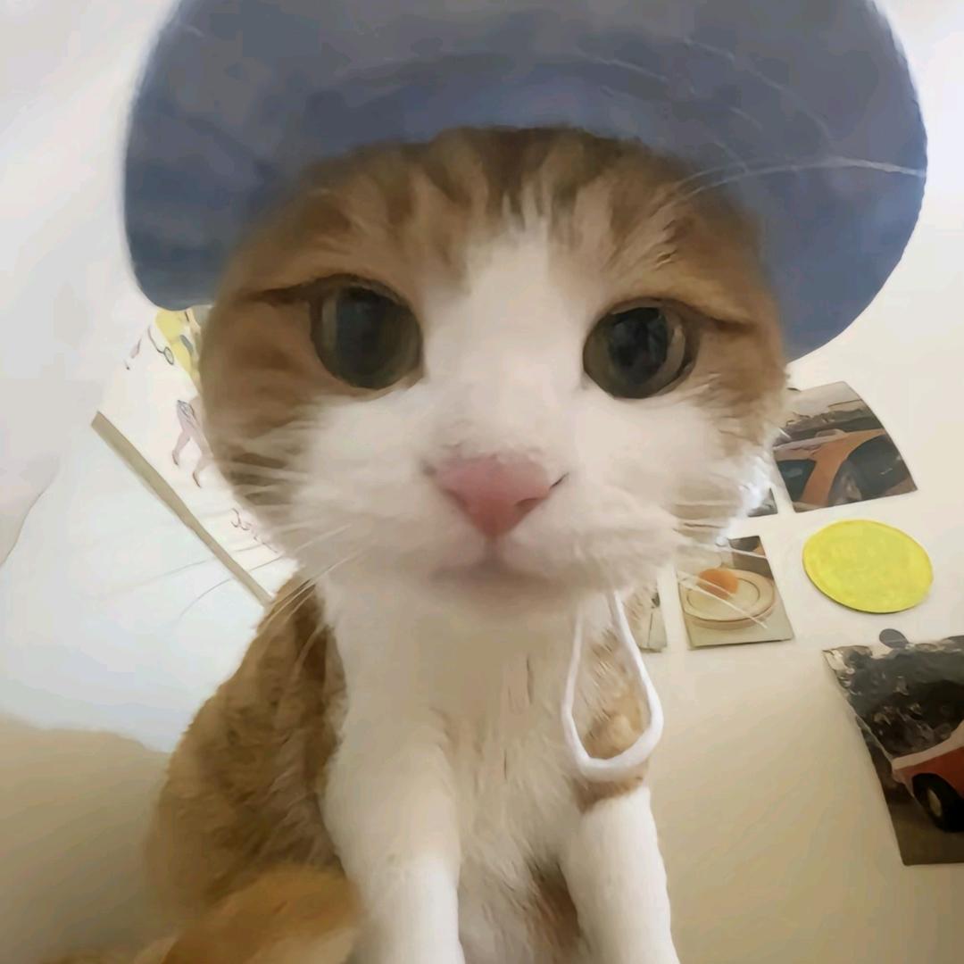 Y头像