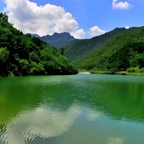已经文化,预测人生