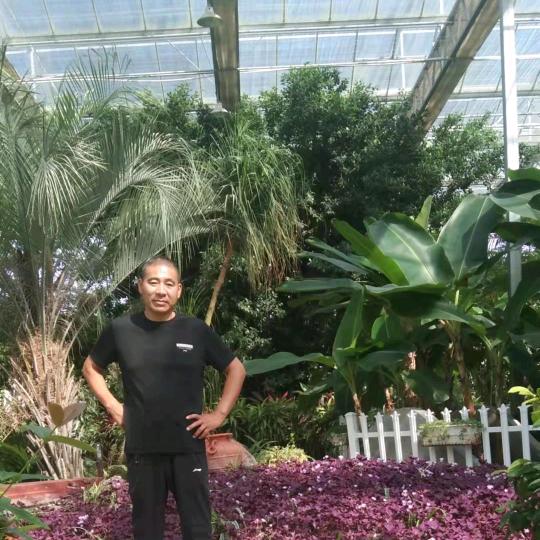 宿州孙浩二手自卸车货车买卖