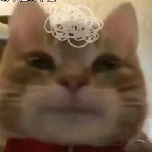 哒集ヽ