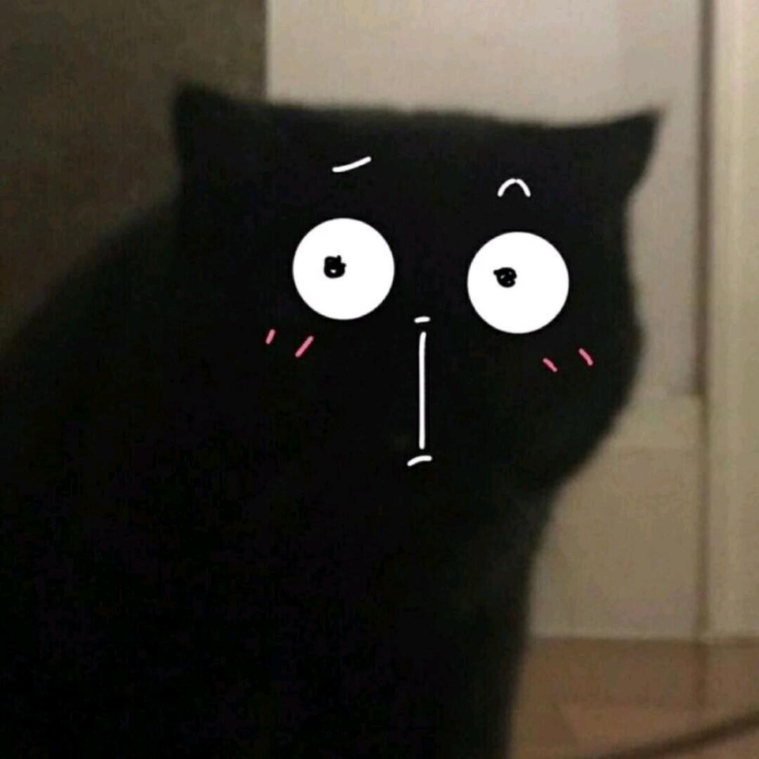 •᷄ࡇ•᷅头像