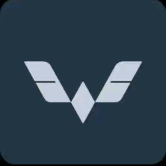 永嘉五菱新能源汽车