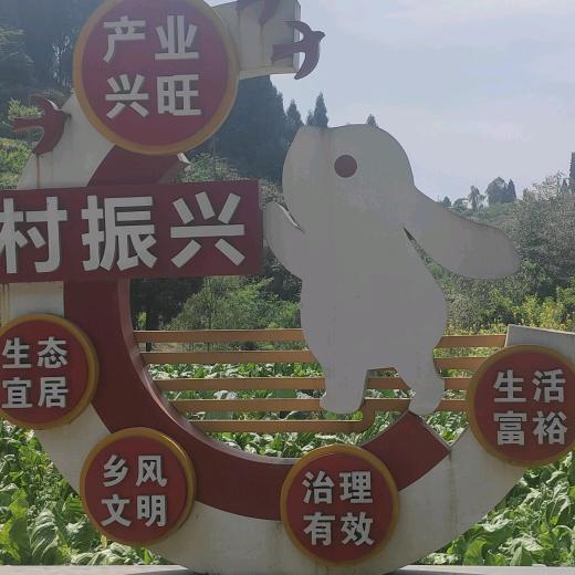 钱兔无量