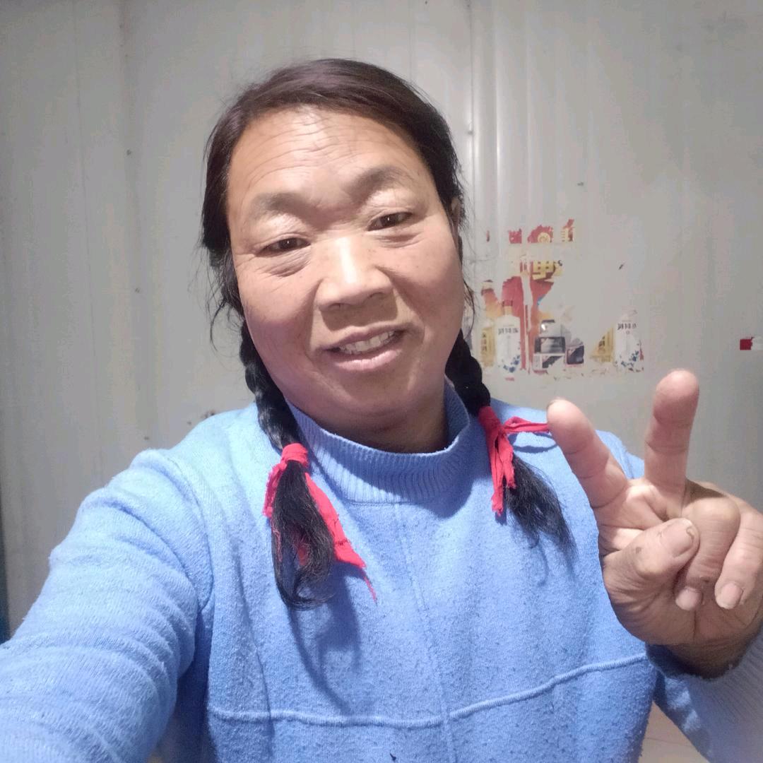 凤飞飞早5点30