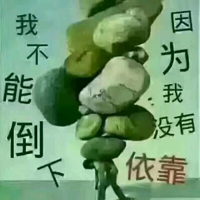 胜龙