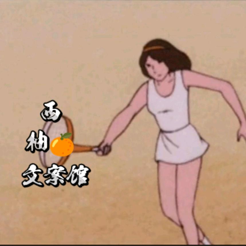 西柚6