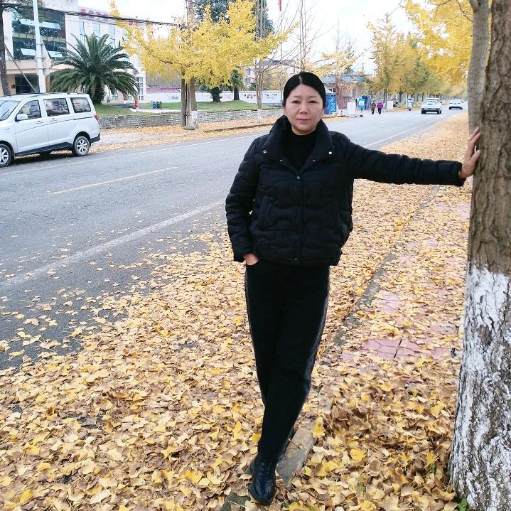 平淡的生活