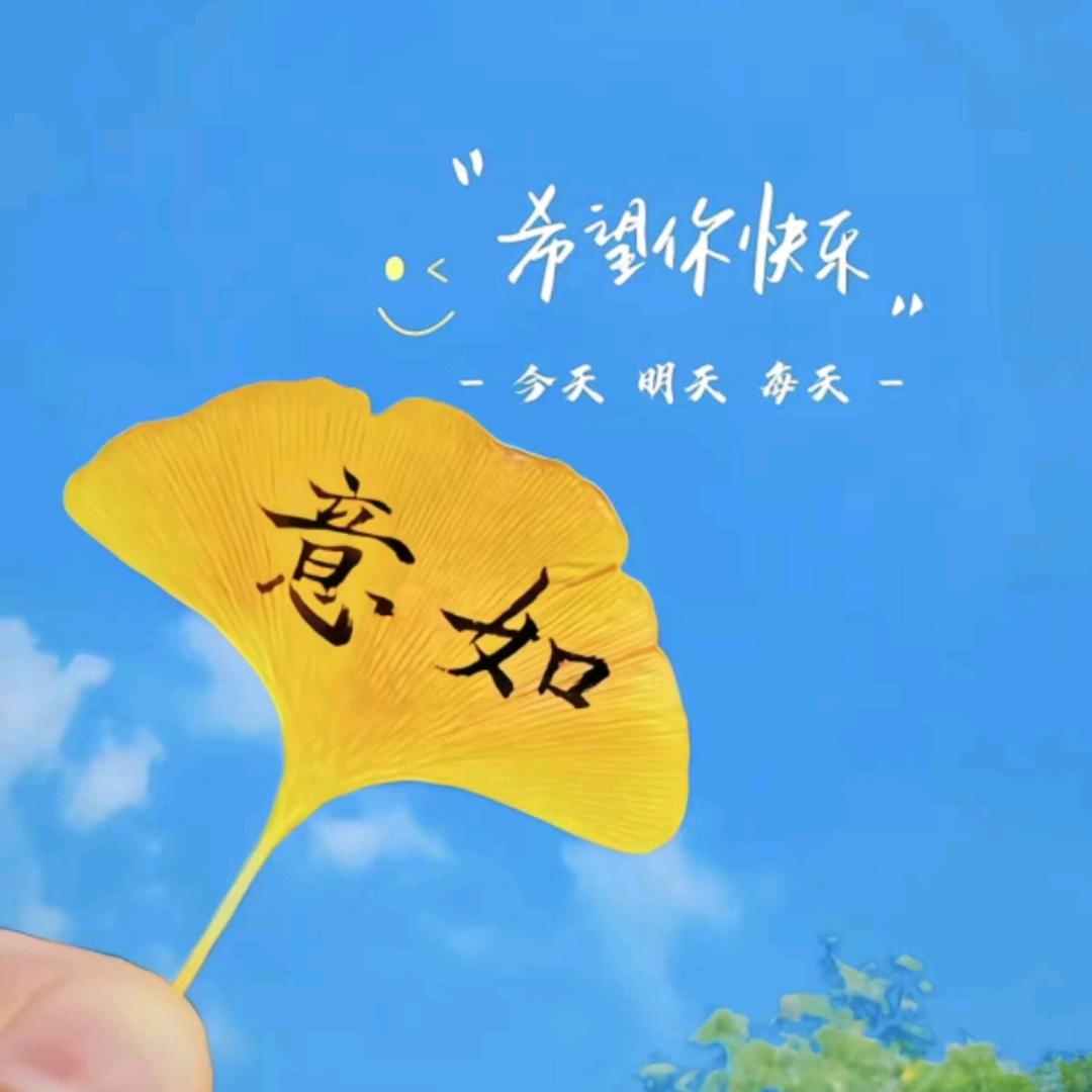 鸢尾艳