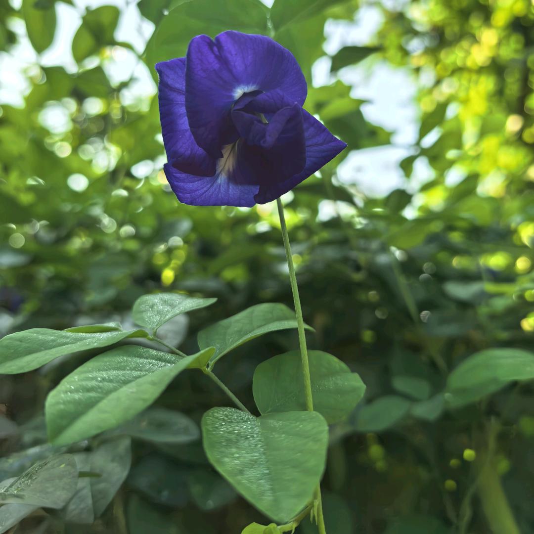 🌈🌈避风塘🌈