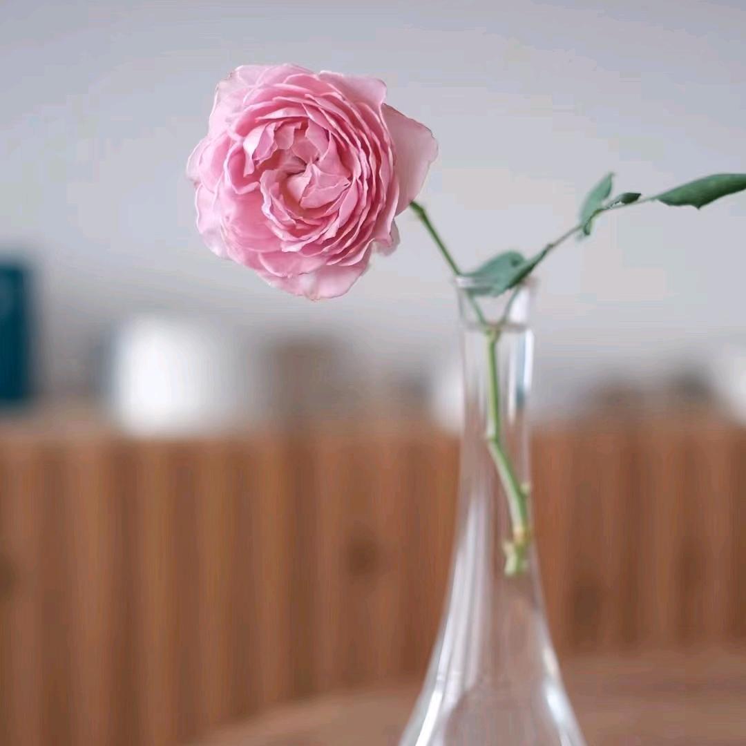上学了