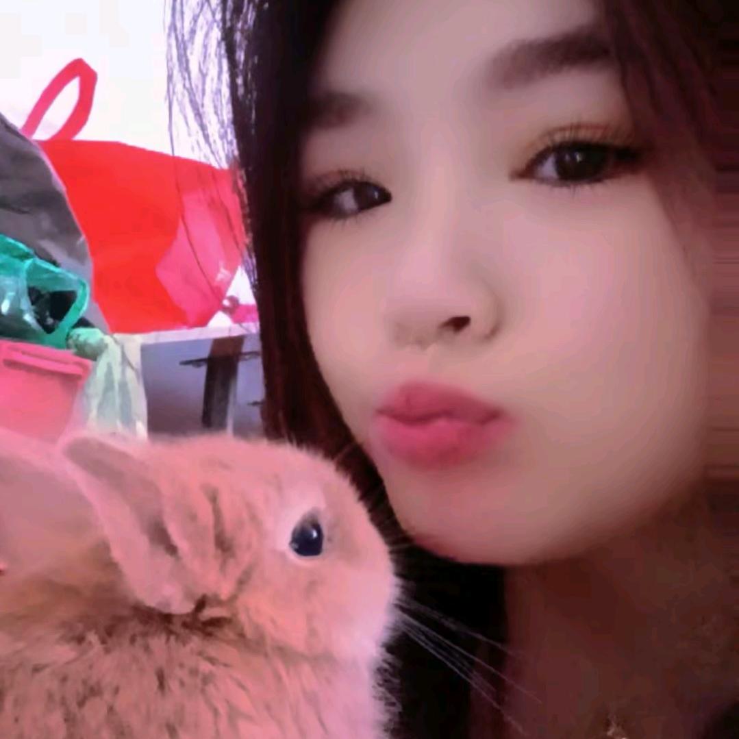 杨燕