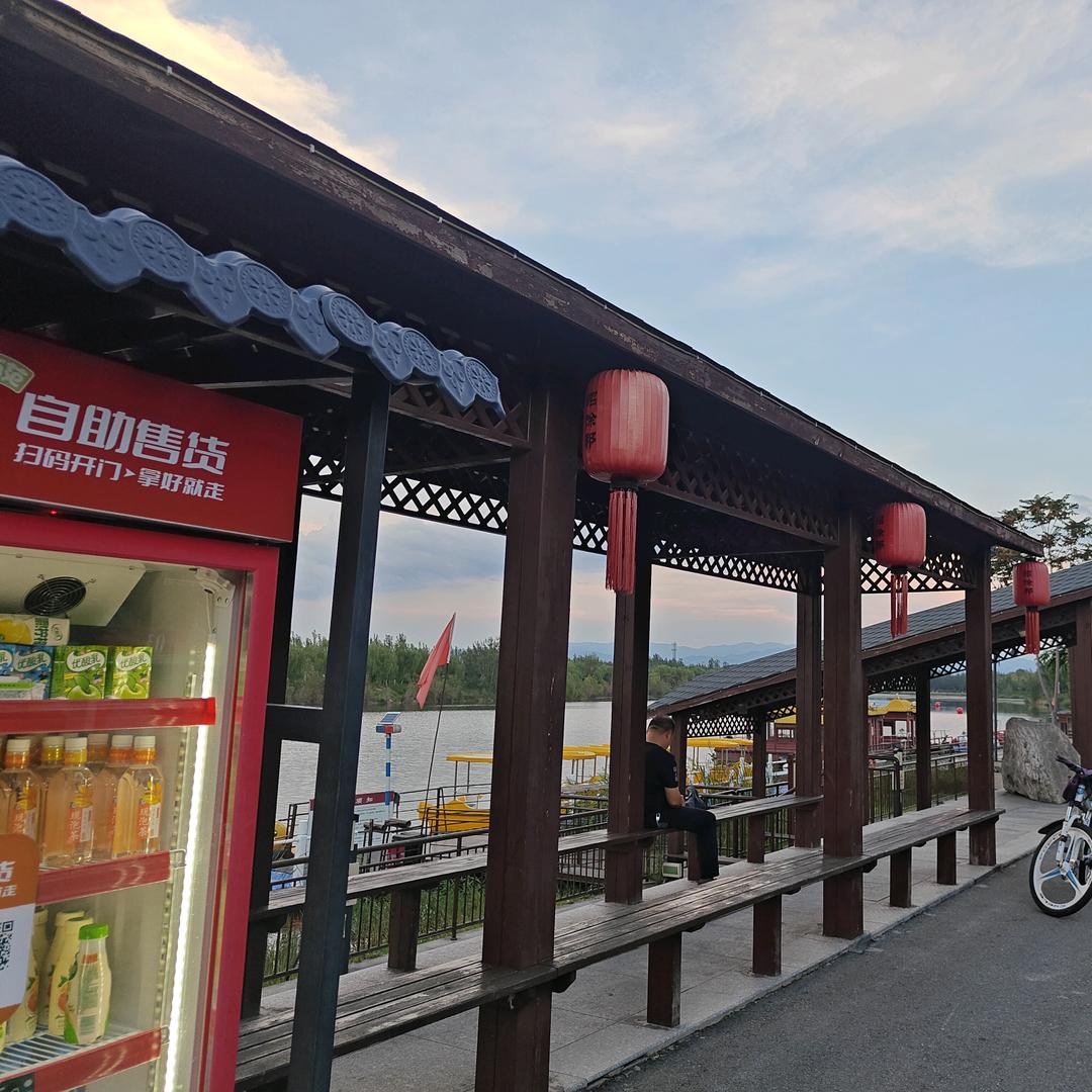 柳依蝶
