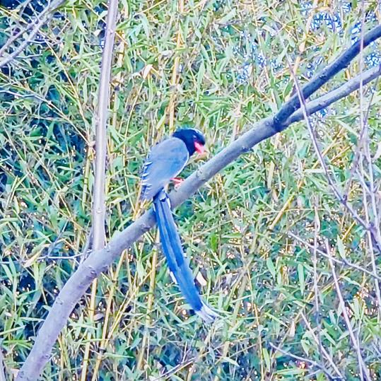 ╭(╯ε╰)╮余生随心╭(╯ε╰)╮