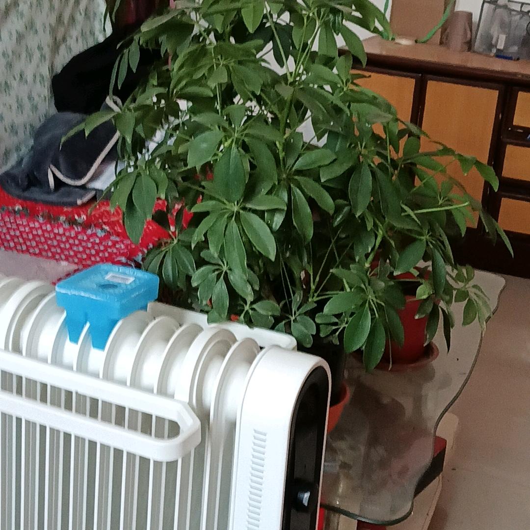 苦尽甘来
