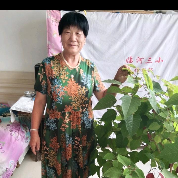杨秀英