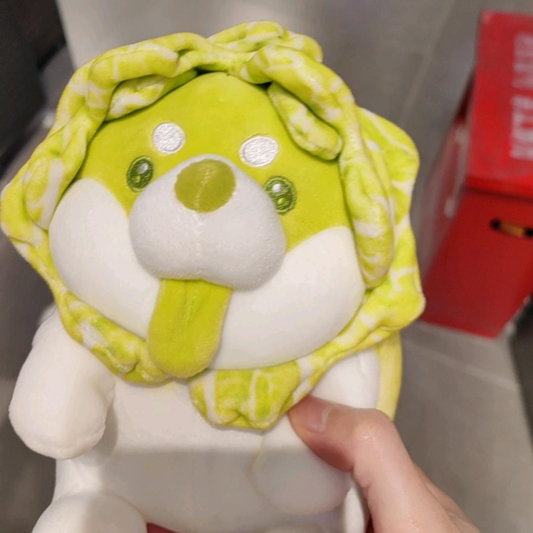 今年一定要发财